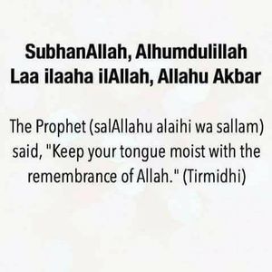 Meet your Posher, Labibah